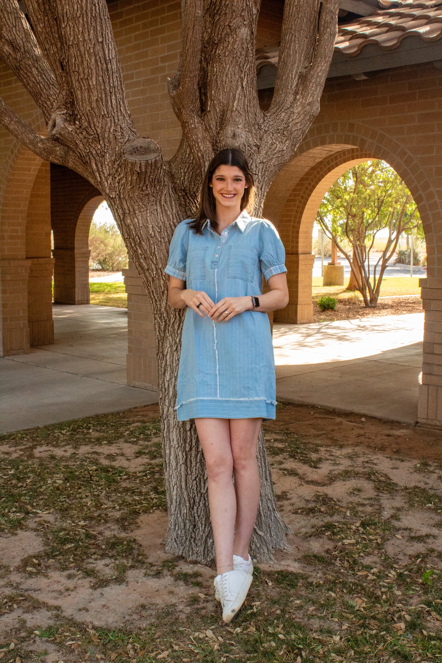 Denim Stripe Polo Mini Dress